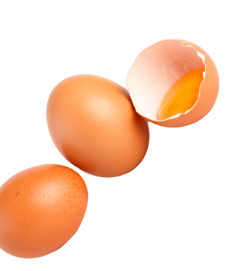 Eggs - small